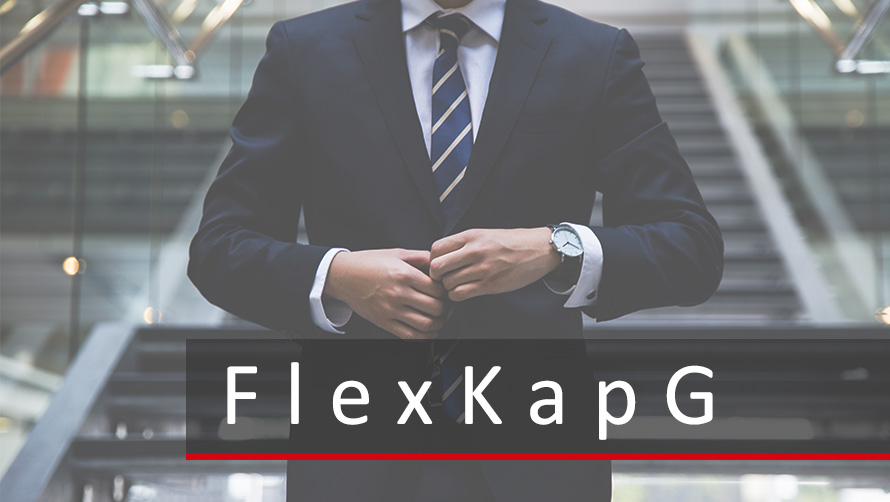 Die FlexKapG - Gesellschafts- und standesrechtliche Implikationen